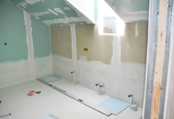 Best Mold Damage Restoration  in Carlin, NV