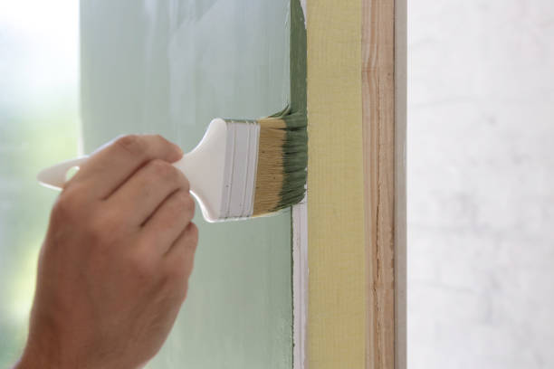 Best Mold Documentation for Insurance Claims  in Carlin, NV