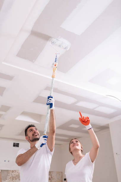 Best Dehumidification Services  in Carlin, NV