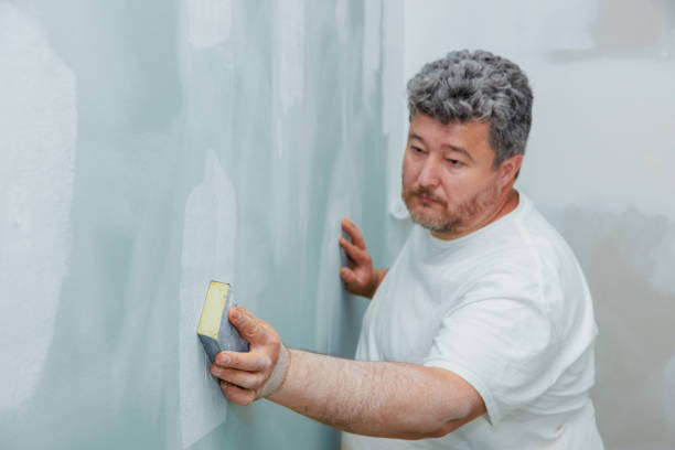 Best Environmental Consulting for Mold Prevention  in Carlin, NV