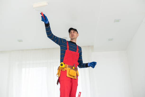 Professional Mold Removal in Carlin, NV