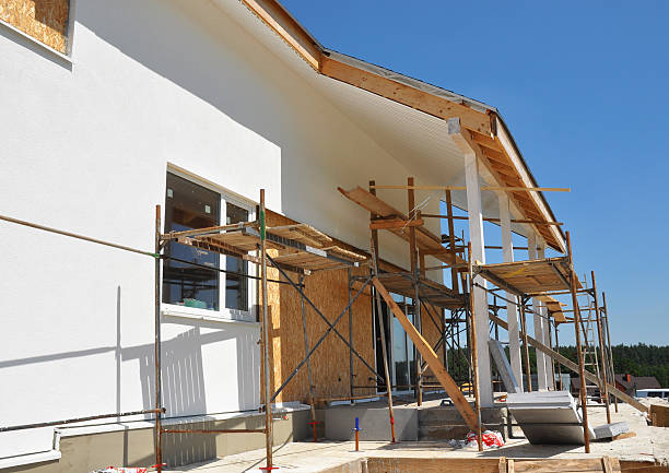 Best Forensic Mold Investigation  in Carlin, NV
