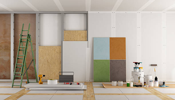 Best Water Damage & Mold Remediation  in Carlin, NV