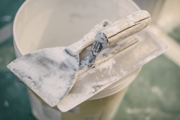 Best Comprehensive Air Testing for Mold Contaminants  in Carlin, NV