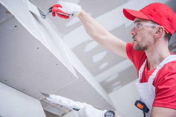 Dehumidification Services in Carlin, NV